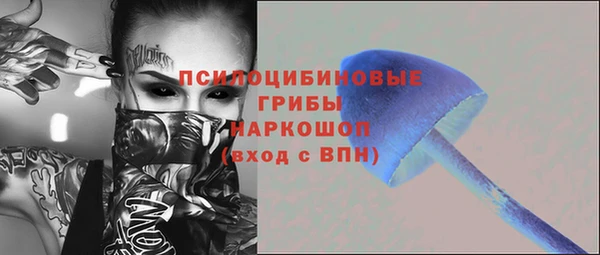 ГАЛЛЮЦИНОГЕННЫЕ ГРИБЫ Алексеевка