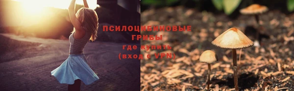 каннабис Алзамай