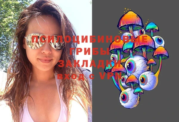 ГАЛЛЮЦИНОГЕННЫЕ ГРИБЫ Алексеевка