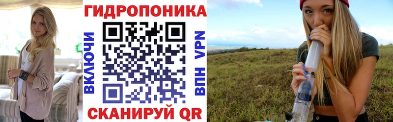 Шишки марихуана семена  кракен онион  Казань 